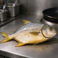 Fresh Whole Golden Pomfret Fish
